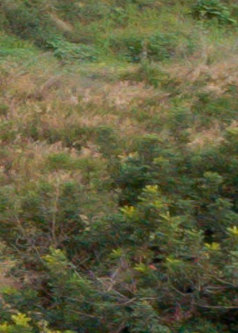 Benalmadena t 1f 07 12