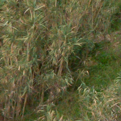 Benalmadena t 1f 08 01