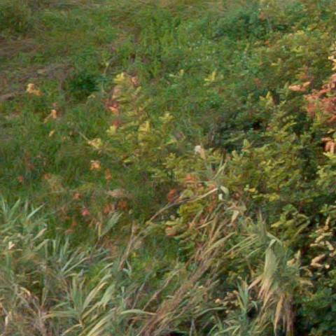 Benalmadena t 1f 08 02