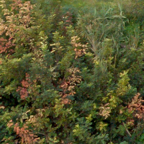 Benalmadena t 1f 08 03