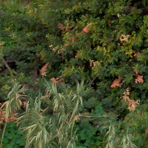 Benalmadena t 1f 08 04