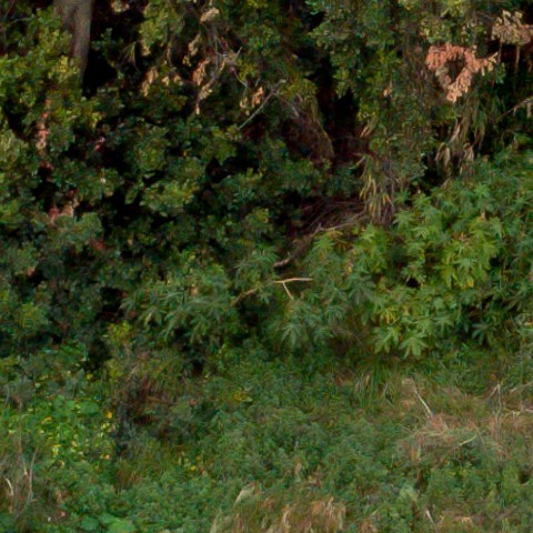 Benalmadena t 1f 08 05