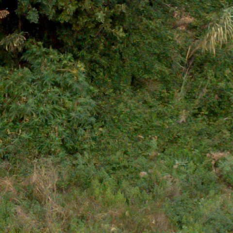 Benalmadena t 1f 08 06