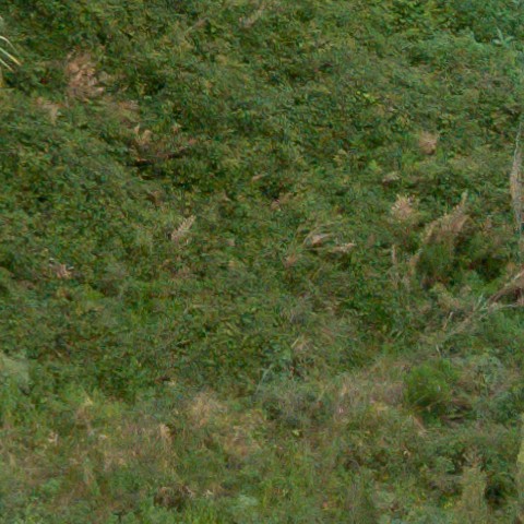 Benalmadena t 1f 08 07