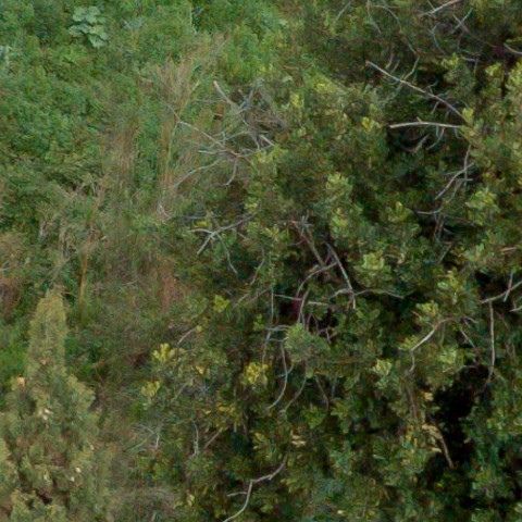 Benalmadena t 1f 08 08