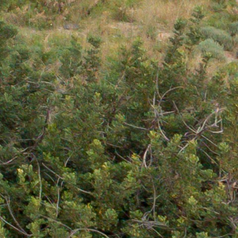 Benalmadena t 1f 08 10