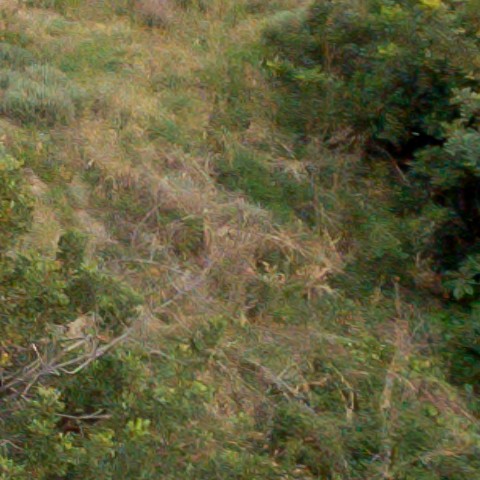 Benalmadena t 1f 08 11