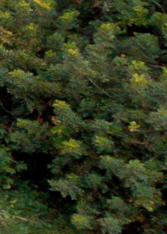 Benalmadena t 1f 08 12