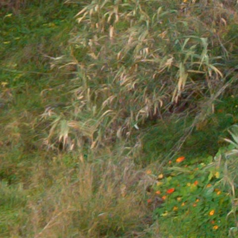 Benalmadena t 1f 09 01