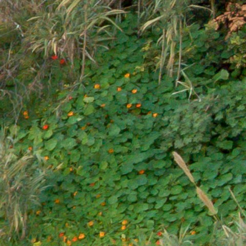 Benalmadena t 1f 09 02