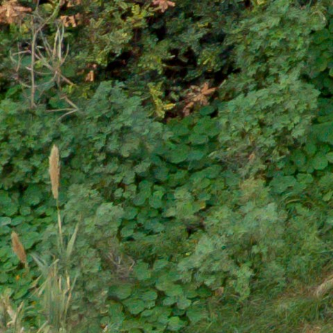 Benalmadena t 1f 09 03