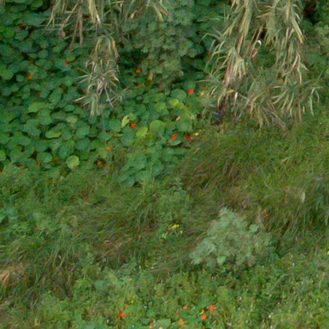 Benalmadena t 1f 09 04