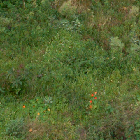 Benalmadena t 1f 09 05