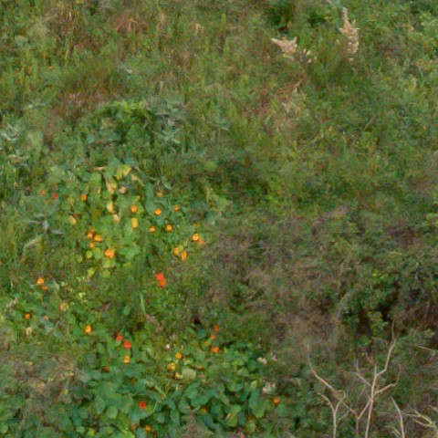 Benalmadena t 1f 09 06