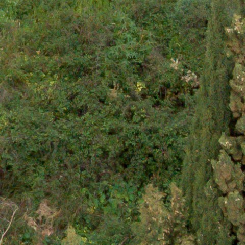 Benalmadena t 1f 09 07