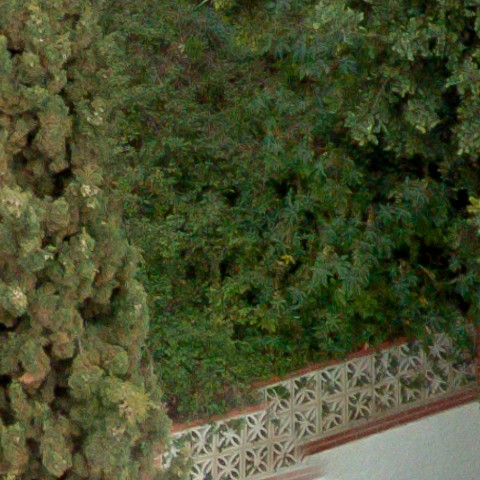 Benalmadena t 1f 09 08