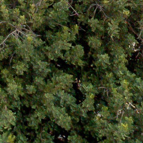 Benalmadena t 1f 09 10