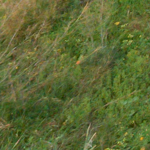 Benalmadena t 1f 10 01