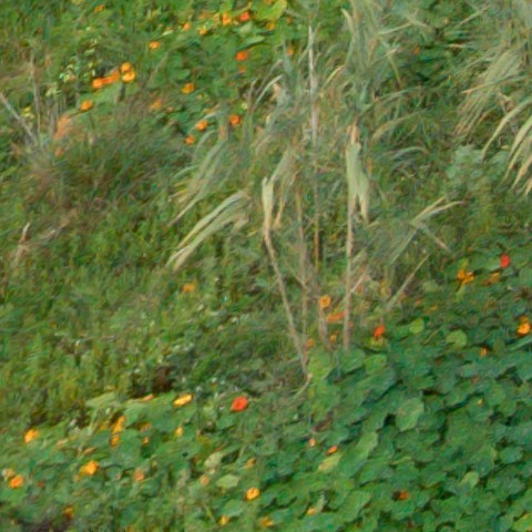 Benalmadena t 1f 10 02