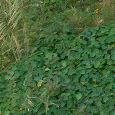 Benalmadena t 1f 10 03