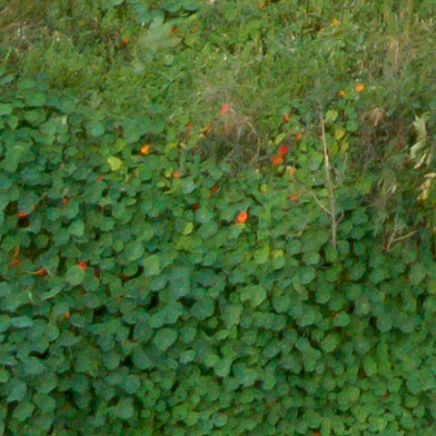 Benalmadena t 1f 10 04