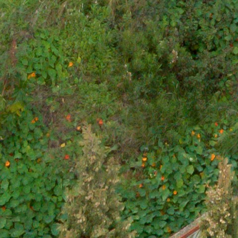 Benalmadena t 1f 10 05