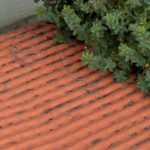 Benalmadena t 1f 10 09