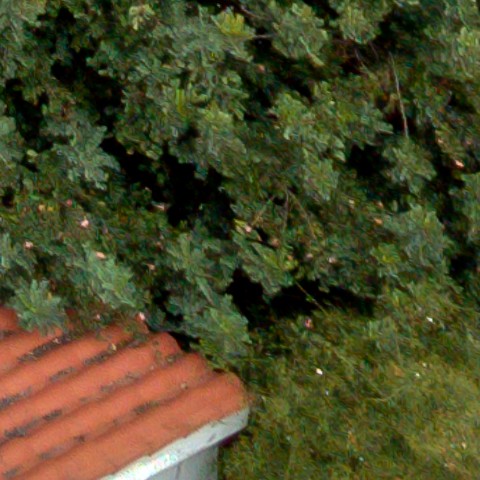 Benalmadena t 1f 10 10