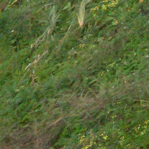 Benalmadena t 1f 11 01