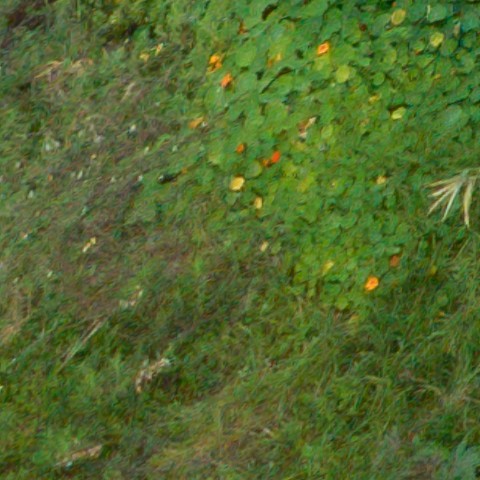 Benalmadena t 1f 11 02