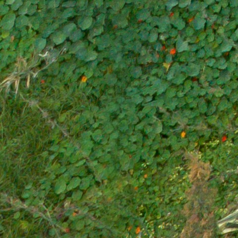 Benalmadena t 1f 11 03