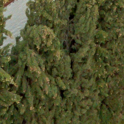 Benalmadena t 1f 11 06