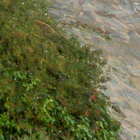 Benalmadena t 1f 11 11