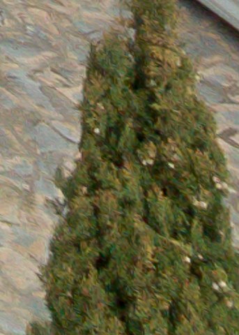 Benalmadena t 1f 11 12