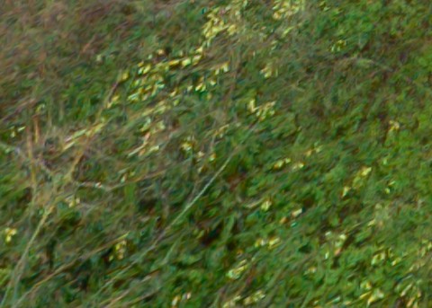 Benalmadena t 1f 12 01