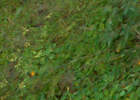 Benalmadena t 1f 12 02