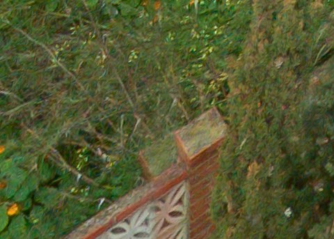 Benalmadena t 1f 12 03