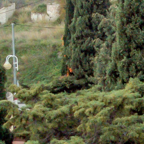 Benalmadena t 1l 07 04