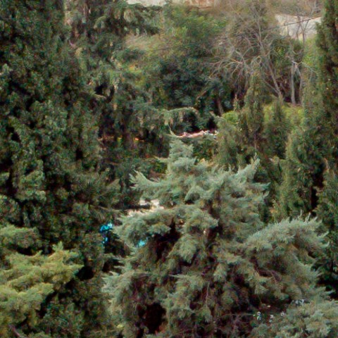 Benalmadena t 1l 07 05