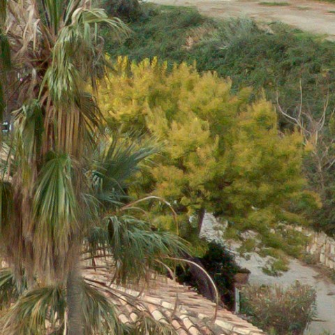 Benalmadena t 1l 07 08