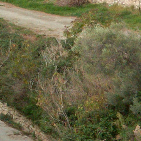 Benalmadena t 1l 07 09