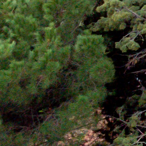 Benalmadena t 1l 08 03