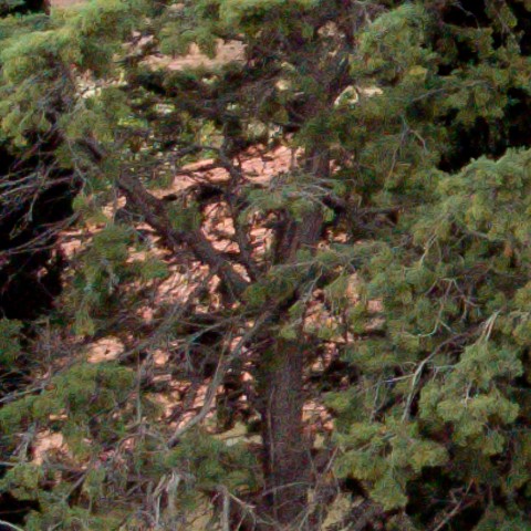 Benalmadena t 1l 08 04