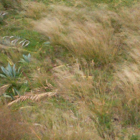 Benalmadena t 1l 08 10