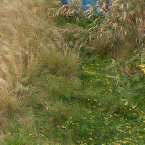 Benalmadena t 1l 08 11