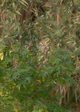 Benalmadena t 1l 08 12