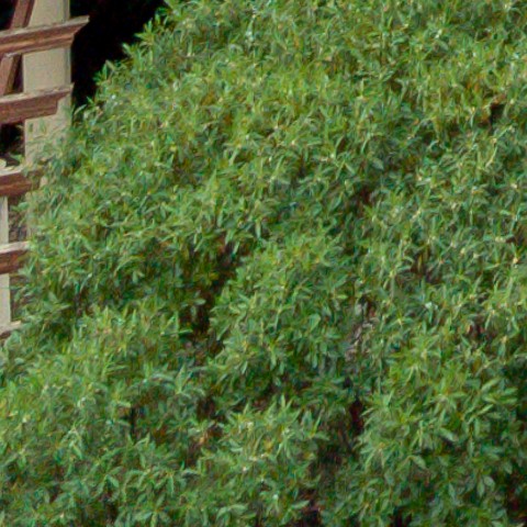 Benalmadena t 1l 10 04