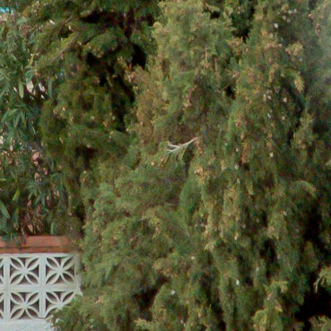 Benalmadena t 1l 10 07