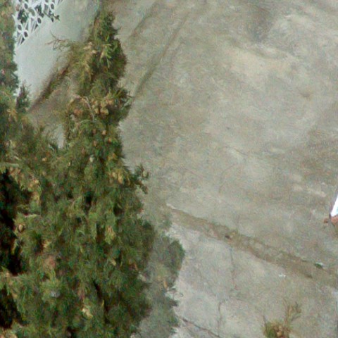 Benalmadena t 1l 10 08