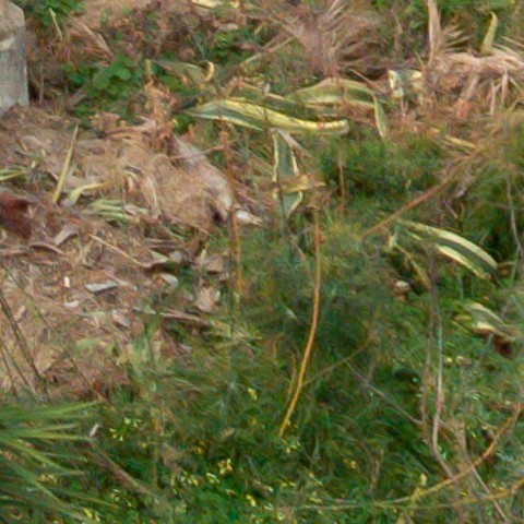 Benalmadena t 1l 10 10